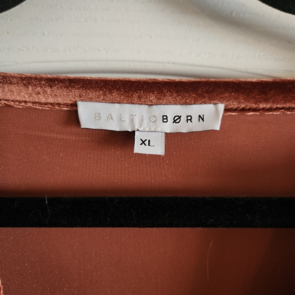 Artemis Velvet Maxi Dress - Picture 3 of 4